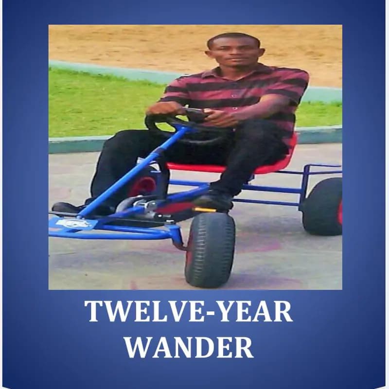 Twelve-year Wander