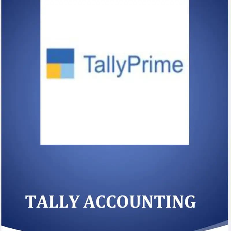 Tally Accounting
